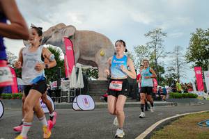 BIB: 
                            <button type="button" onclick="openModal(26528812)" class="btn btn-primary btn-sm float-right btn-popup" data-toggle="modal" data-target=".modal-high-quality">
                        <i class="fas fa-shopping-cart"></i> Add to Cart
                    </button>
                                            <button type="button" onclick="isThisMe(26528812, true)" class="btn btn-success btn-sm float-right btn-popup btn-isme hidden" data-toggle="tooltip" data-placement="bottom" title="นี่คือรูปของคุณใช่ไหม คลิกที่นี่เพื่อเอาเข้าอัลบั้ม">
                        <i class="fas fa-plus"></i> Add to album
                    </button>
                    <button type="button" onclick="isThisMe(26528812, false)" class="btn btn-warning btn-sm float-right btn-popup btn-isnotme hidden">
                        <i class="fas fa-ban"></i> Remove from album
                    </button>